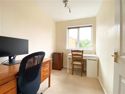 Picture 11
